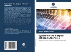 Borítókép a  Syndromische Corpus-callosum-Agenesie - hoz