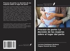 Обложка Proceso de parto: La decisión de las mujeres sobre el lugar del parto