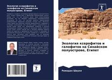 Copertina di Экология ксерофитов и галофитов на Синайском полуострове, Египет