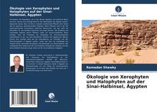 Capa do livro de Ökologie von Xerophyten und Halophyten auf der Sinai-Halbinsel, Ägypten 