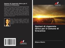 Buchcover von Opzioni di risparmio idrico per il Comune di Gracanica