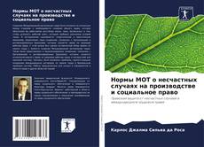Нормы МОТ о несчастных случаях на производстве и социальное право kitap kapağı