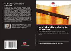 Buchcover von La double dépendance de Blumenau
