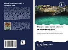 Влияние изменения климата на подземные воды kitap kapağı