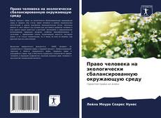 Право человека на экологически сбалансированную окружающую среду kitap kapağı