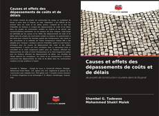 Buchcover von Causes et effets des dépassements de coûts et de délais