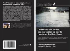 Contribución de las precipitaciones por la tarde en Belém, Pará的封面