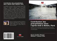 Buchcover von Contribution des précipitations dans l'après-midi à Belém, Pará