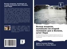 Вклад осадков, выпавших во второй половине дня в Белене, штат Пара kitap kapağı