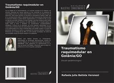 Portada del libro de Traumatismo raquimedular en Goiânia/GO