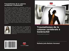 Buchcover von Traumatismes de la colonne vertébrale à Goiânia/GO