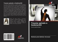 Buchcover von Trauma spinale a Goiânia/GO