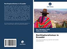 Couverture de Rechtspluralismus in Ecuador