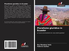 Capa do livro de Pluralismo giuridico in Ecuador 