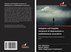 Buchcover von Indagine sull'impatto reciproco di depressione e soddisfazione lavorativa