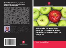 Buchcover von Indústria da maçã no vale de Caxemira, com referência ao distrito de Shopian