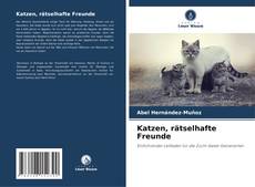 Capa do livro de Katzen, rätselhafte Freunde 