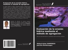 Copertina di Evaluación de la erosión hídrica mediante el método de agregación