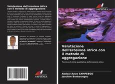 Valutazione dell'erosione idrica con il metodo di aggregazione kitap kapağı