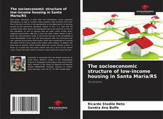 The socioeconomic structure of low-income housing in Santa Maria/RS的封面