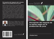 Copertina di Percepción del impacto de la marea negra en la producción de yuca