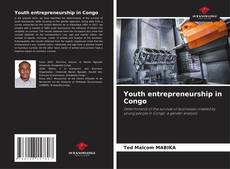 Buchcover von Youth entrepreneurship in Congo