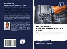 Borítókép a  Молодежное предпринимательство в Конго - hoz