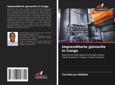 Buchcover von Imprenditoria giovanile in Congo