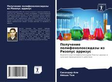 Couverture de Получение полифенолоксидазы из Ризопус арризус