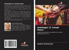 Antologia 11 Campi futuri kitap kapağı