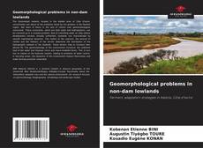 Copertina di Geomorphological problems in non-dam lowlands