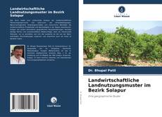 Capa do livro de Landwirtschaftliche Landnutzungsmuster im Bezirk Solapur 