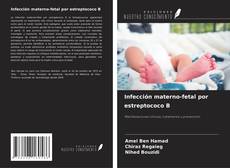 Buchcover von Infección materno-fetal por estreptococo B