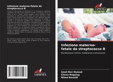 Infezione materno-fetale da streptococco B kitap kapağı