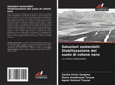 Обложка Soluzioni sostenibili: Stabilizzazione del suolo di cotone nero