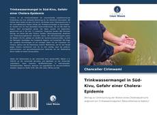 Capa do livro de Trinkwassermangel in Süd-Kivu, Gefahr einer Cholera-Epidemie 