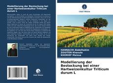 Capa do livro de Modellierung der Bestockung bei einer Hartweizenkultur Triticum durum L 