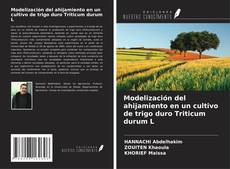 Capa do livro de Modelización del ahijamiento en un cultivo de trigo duro Triticum durum L 