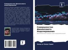 Bookcover of Совершенство финансового моделирования