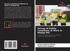 Couverture de Survey of Safety Conditions at Work in Matipó MG