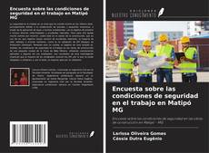 Capa do livro de Encuesta sobre las condiciones de seguridad en el trabajo en Matipó MG 