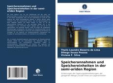 Buchcover von Speicherannahmen und Speichereinheiten in der semi-ariden Region