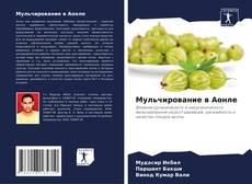 Bookcover of Мульчирование в Аонле