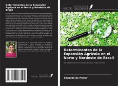 Buchcover von Determinantes de la Expansión Agrícola en el Norte y Nordeste de Brasil
