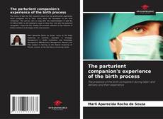 Borítókép a  The parturient companion's experience of the birth process - hoz