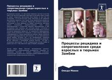Процессы рецидива и сопротивления среди взрослых в тюрьмах Замбии的封面