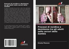 Обложка Processi di recidiva e desistenza tra gli adulti nelle carceri dello Zambia