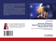 Buchcover von Dynamic Efficiency: Algorithms for Maintaining Binary Search Trees