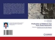 Обложка Production of Methane Gas from Shale Reservoirs