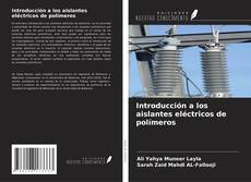 Copertina di Introducción a los aislantes eléctricos de polímeros